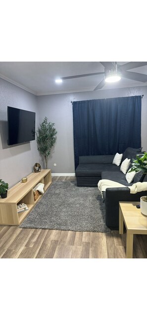 TV