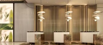 Hilton Garden Inn Shenzhen Pingshan Chaoshang Plaza