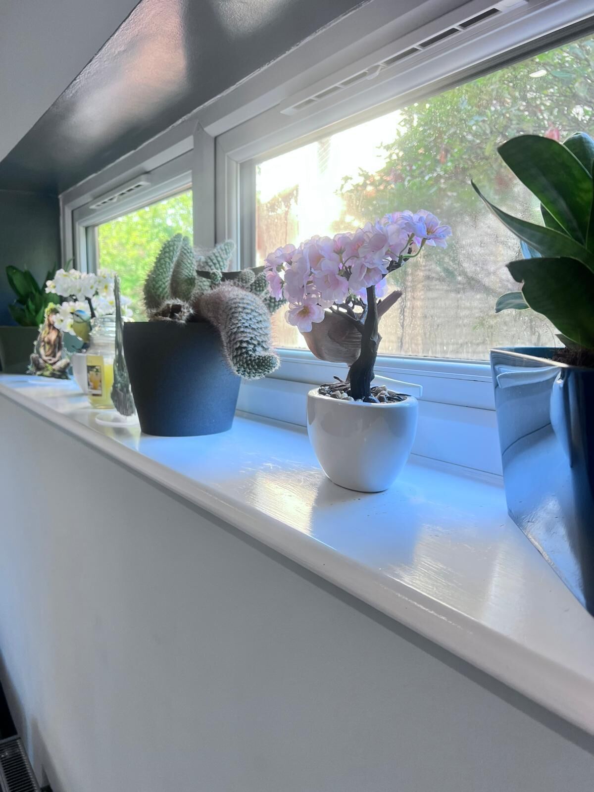 Un alféizar con varias macetas de plantas, entre ellas un cactus y una orquídea, y una figurita.