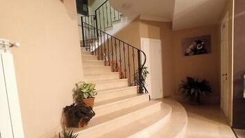 Escalier