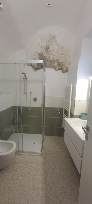 Shower, hair dryer, bidet, towels