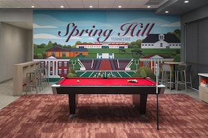 A pool table in a room with a mural of Spring Hill, Tennessee.