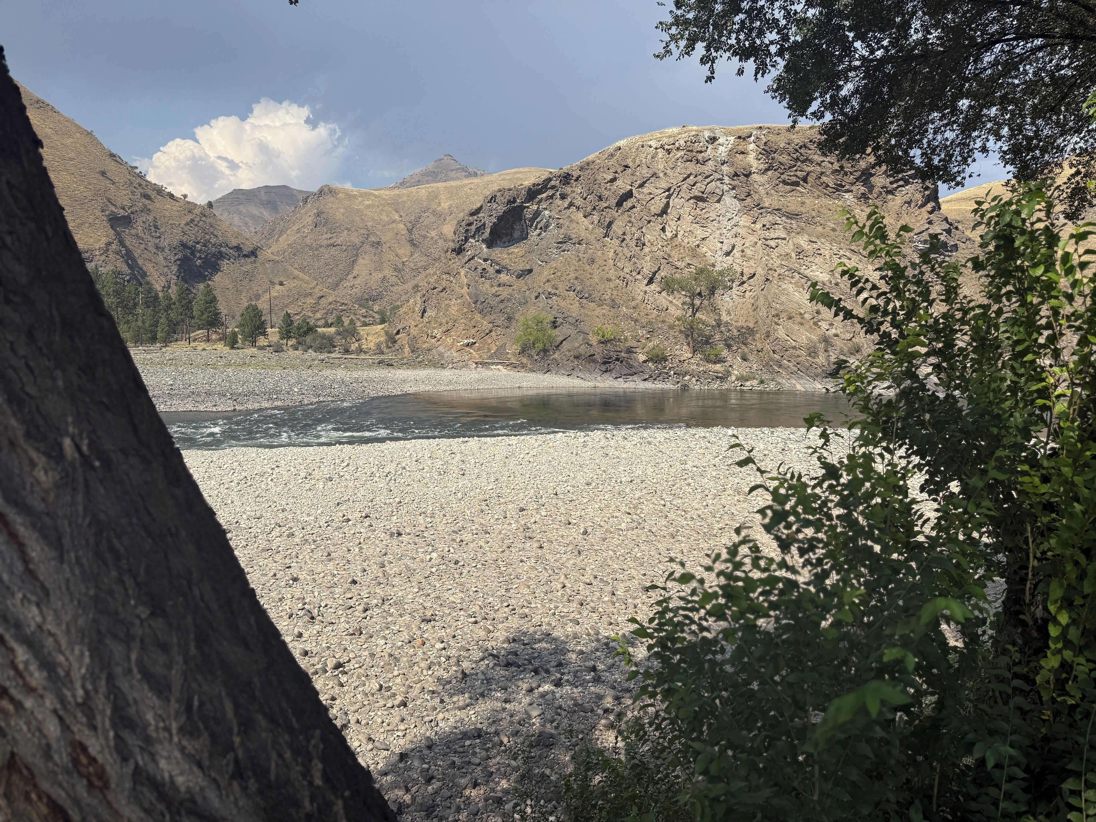منوع