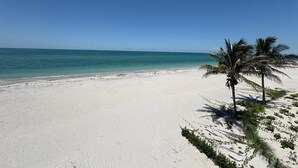 A beach with white sand and clear blue water. There are palm trees on the right side. - "Dreamy Beachfront Getaway - Your Coastal Sanctuary Awaits!" (Placida)
