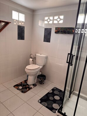Shower, towels, soap, toilet paper