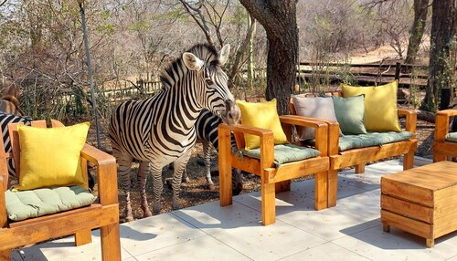 Lenny's Den - bordering Kruger National Park