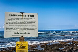 Condo, 1 Queen Bed with Sofa bed (Keauhou Kona Surf & Racquet Club#7-10) | Beach