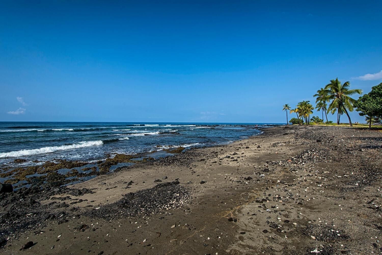 Condo, 1 Queen Bed with Sofa bed (Keauhou Kona Surf & Racquet Club#7-10) | Beach