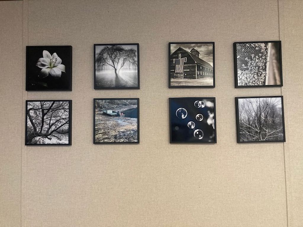 Eight framed pictures on a wall.