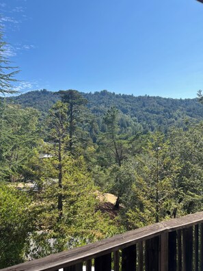 Property grounds - Charming Cottage - Heart of Larkspur, CA
30 days minimum starting Nov 13, 2025 (Larkspur)