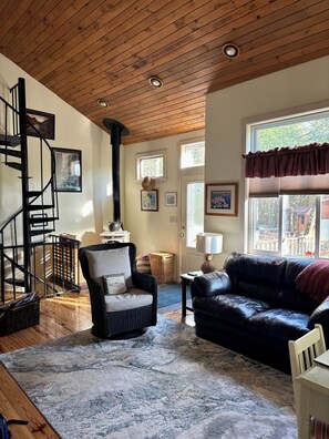 Smart TV, fireplace, DVD player, books
