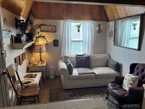 TV, DVD player, video library