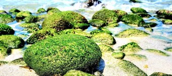 My Rooms City Hotel Monte Blanco