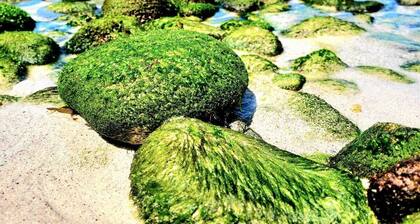 My Rooms City Hotel Monte Blanco