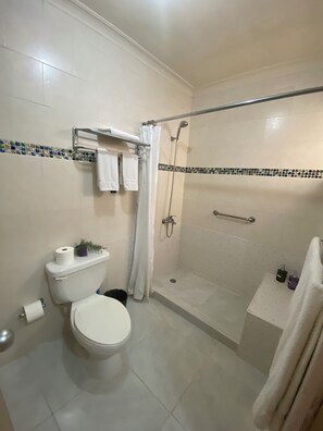 Shower, hair dryer, bidet, towels