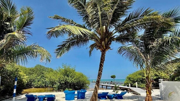 Ein Strand mit Palmen, blauen Liegestühlen und freiem Blick auf den Ozean.