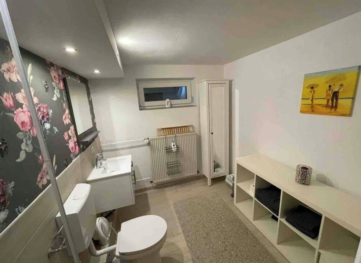 Secador de pelo, toallas y papel higiénico