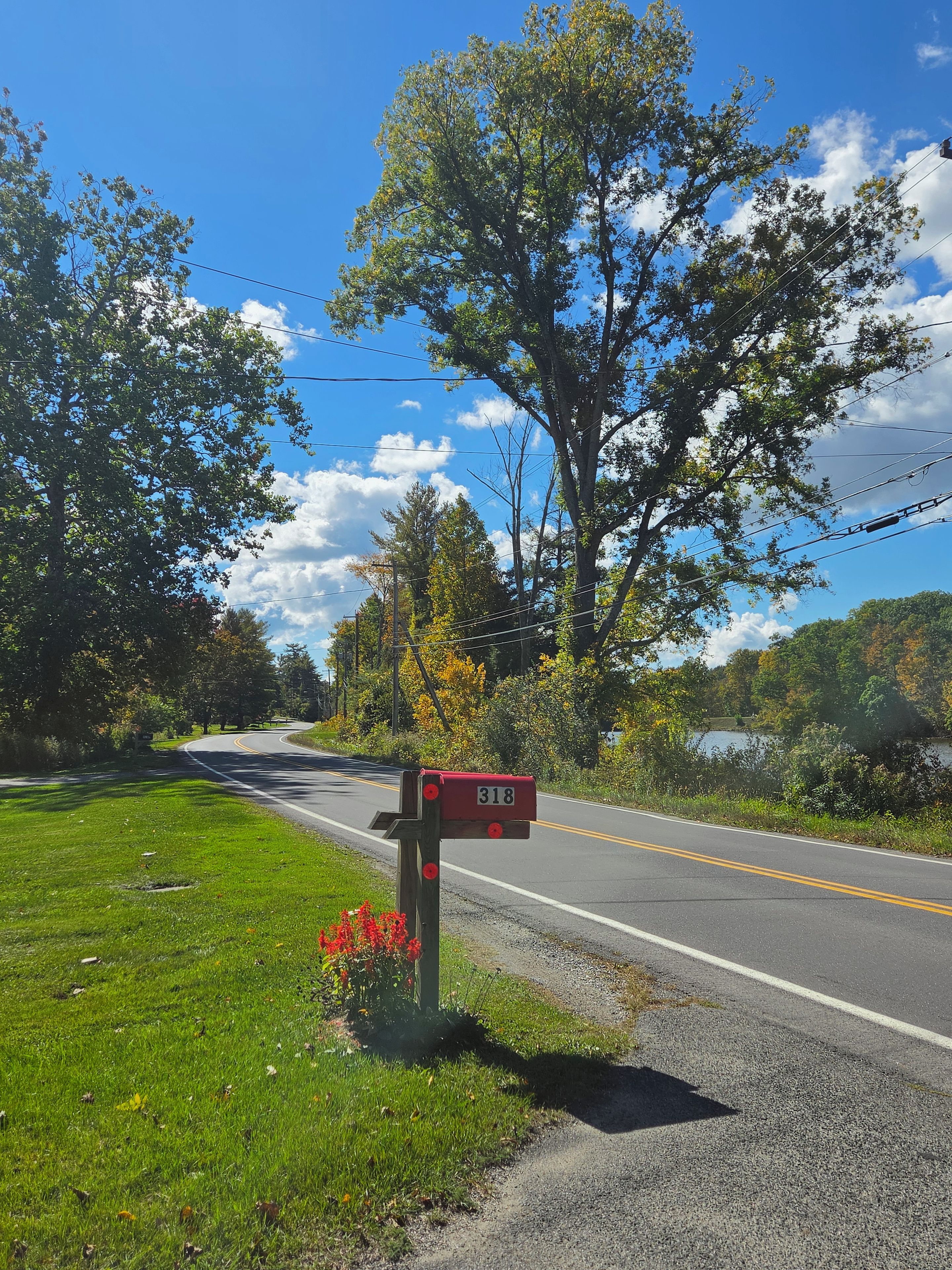 A rural road with a mailbox labeled 318 on the side.