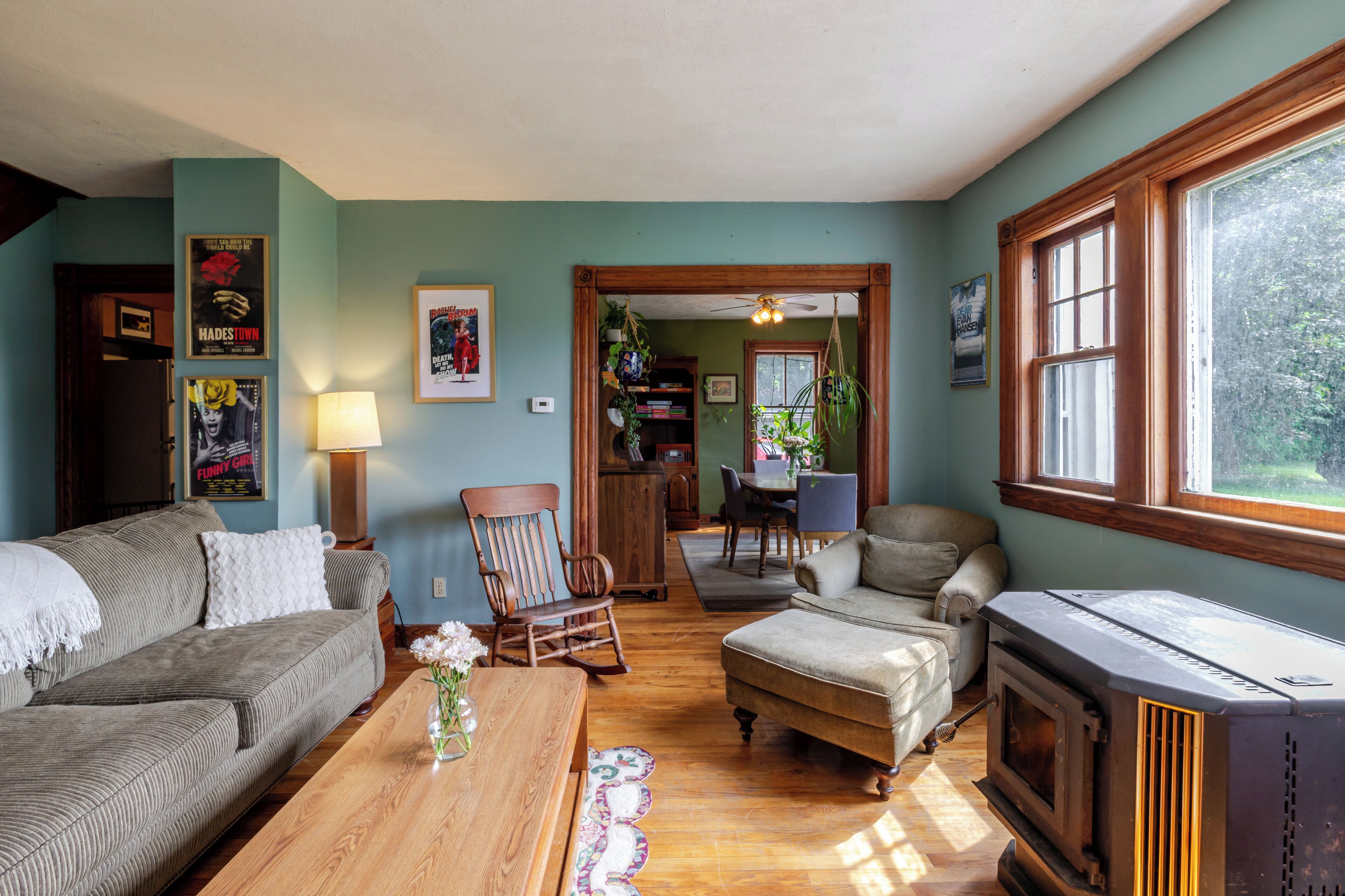 Smart TV, chimenea, libros y biblioteca musical 