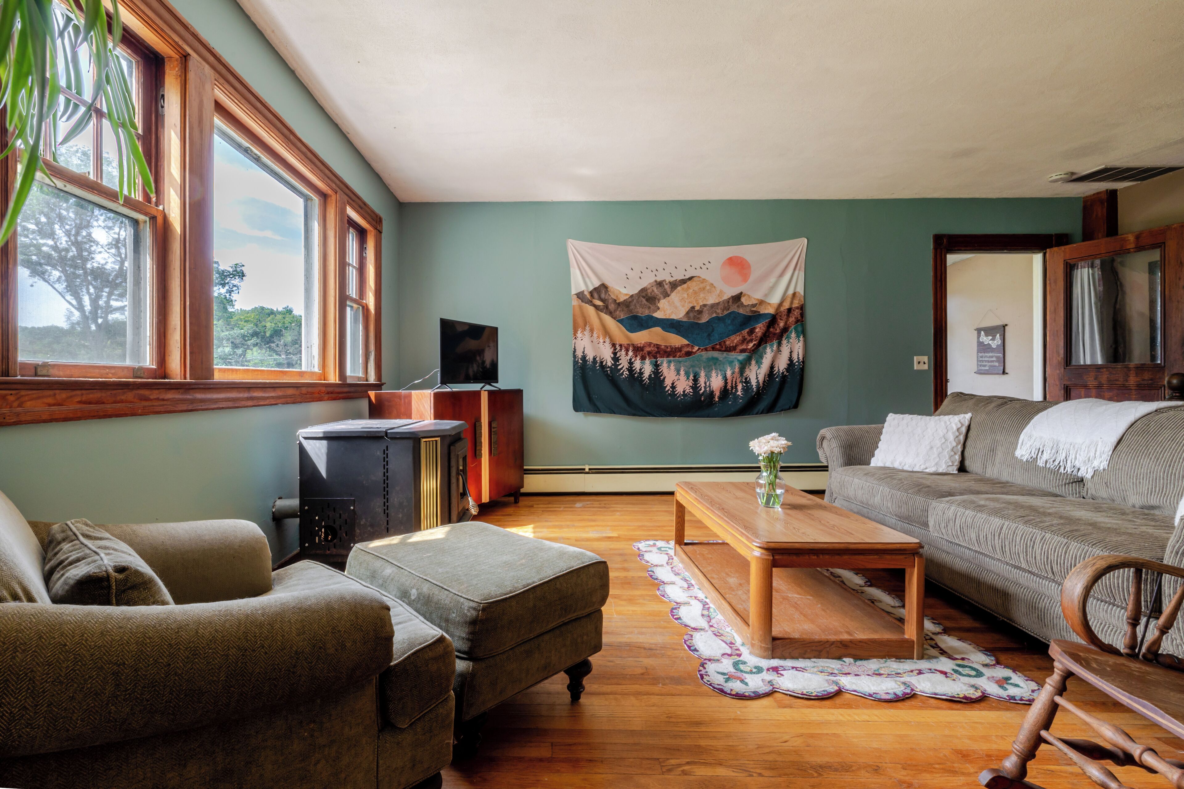 Smart TV, chimenea, libros y biblioteca musical 