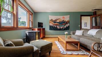 Smart TV, chimenea, libros y biblioteca musical