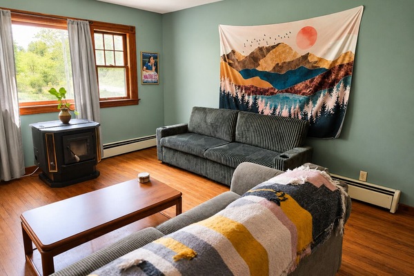 Smart TV, chimenea, libros y biblioteca musical