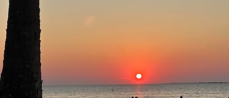 Sun loungers, beach towels