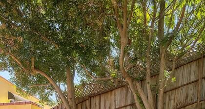 Modern Comfort near Universal