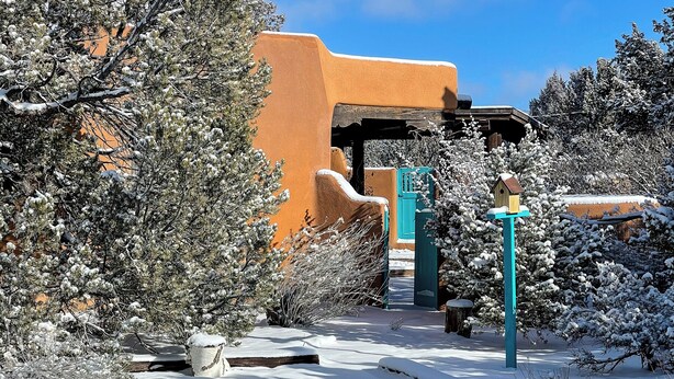 Zona esterna innevata con una struttura in legno, un cancello blu e alberi carichi di neve.