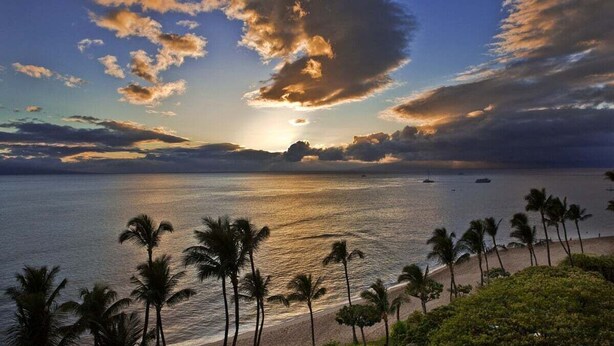 A beach with palm trees and a sunset over the ocean.