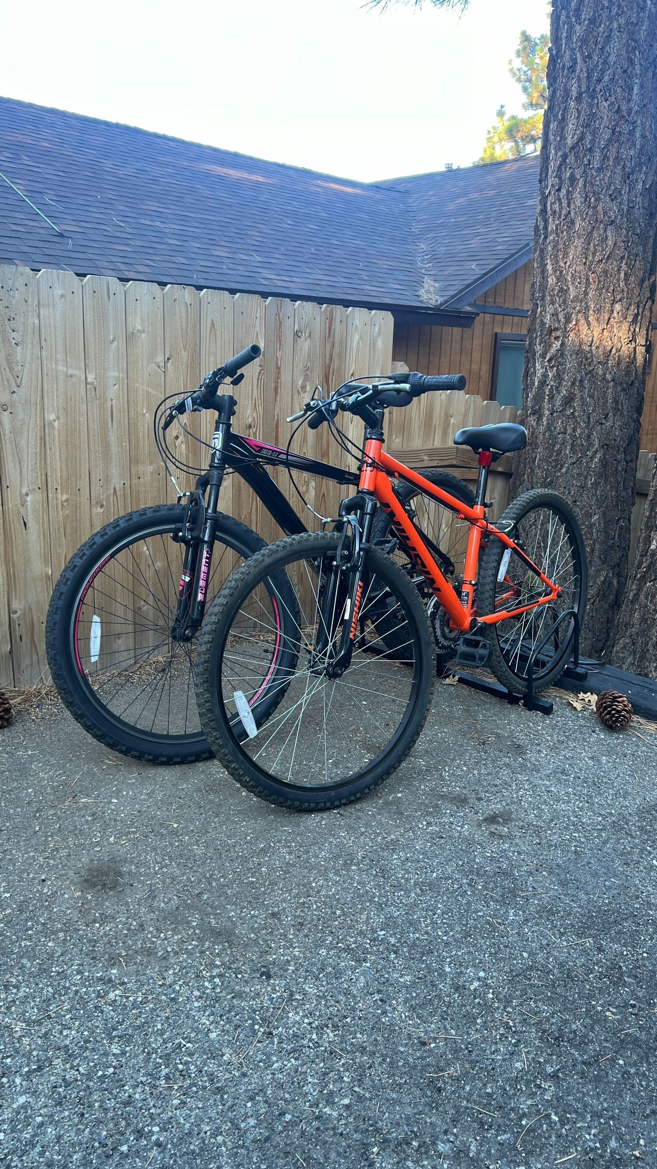 Two bicycles parked against a wooden fence with a tree nearby.