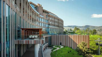 Vista desde la propiedad