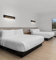 Estúdio, 2 camas Queen (View) | Wi-Fi de cortesia, roupa de cama
