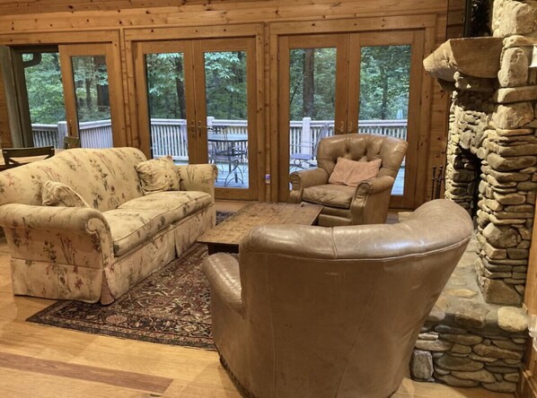 TV, fireplace, books