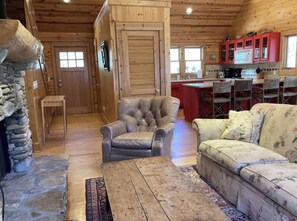 TV, fireplace, books