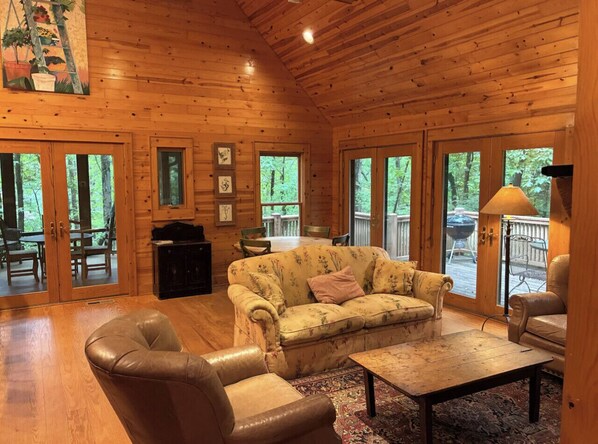 TV, fireplace, books