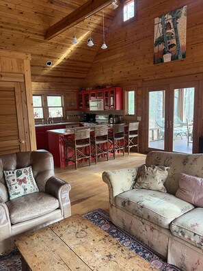 TV, fireplace, books