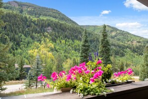 Property grounds - Sunny East Vail Magic, Minutes from Village Center (Vail)