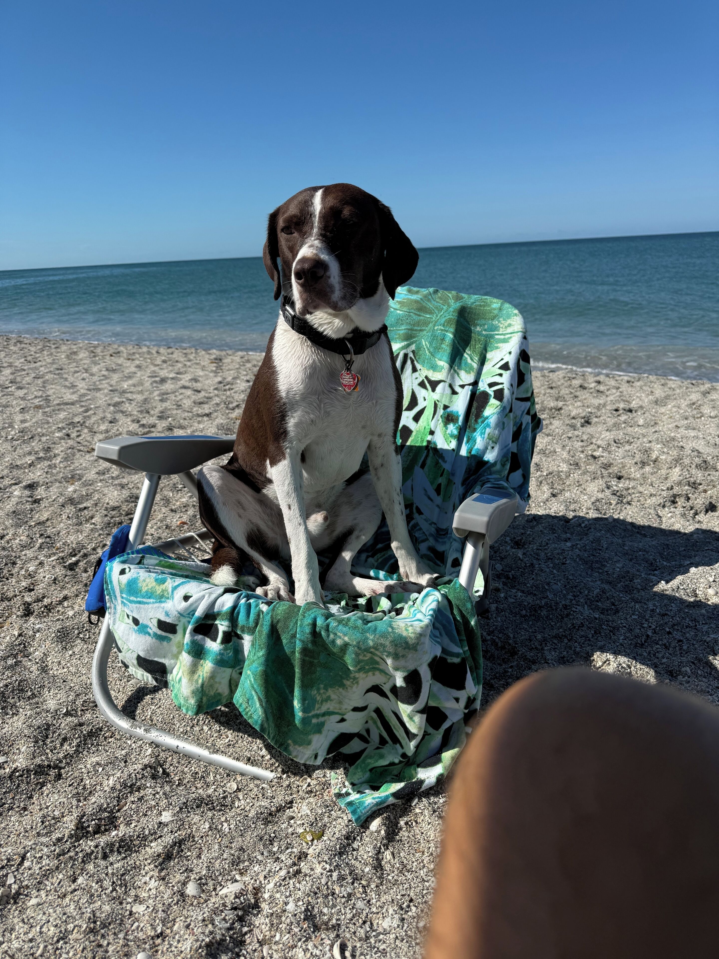 サンラウンジャー、ビーチタオル