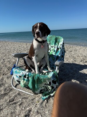 Sun loungers, beach towels