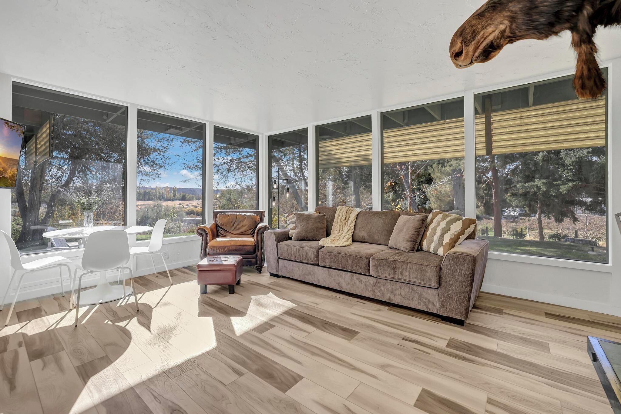 Smart TV, lareira, livros