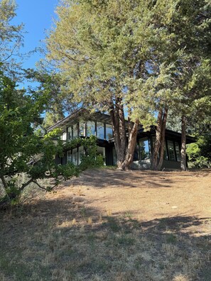 Un bâtiment doté de grandes fenêtres, entouré d’arbres et d’herbe sèche.