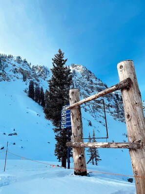 Unclassified image, 2 of 51, button