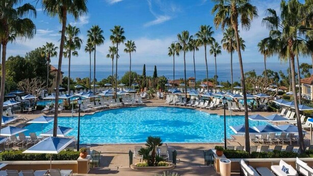 A resort pool area with palm trees, sun loungers, and umbrellas.