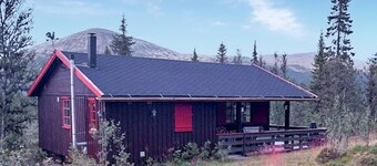 3 bedroom beautiful home in Tynset