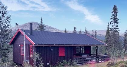 3 bedroom beautiful home in Tynset