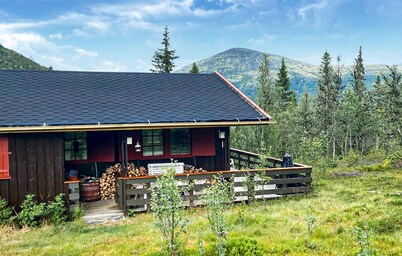 3 bedroom beautiful home in Tynset