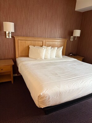 Room, 1 King Bed, Roll-in Shower, Non Smoking | Desk, iron/ironing board, free WiFi