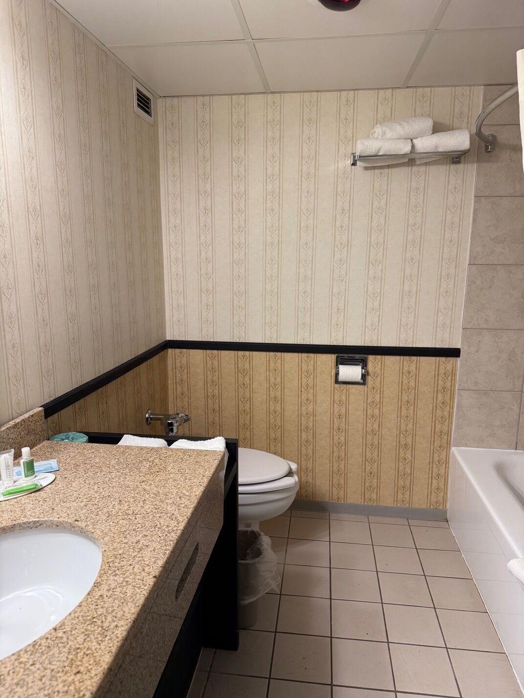 Room, 1 King Bed, Non Smoking | Bathroom | Free toiletries, hair dryer, towels, soap