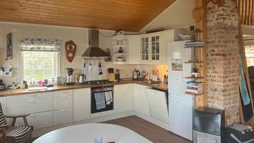 Frigorífico, placa de cocina, lavavajillas y cafetera o tetera